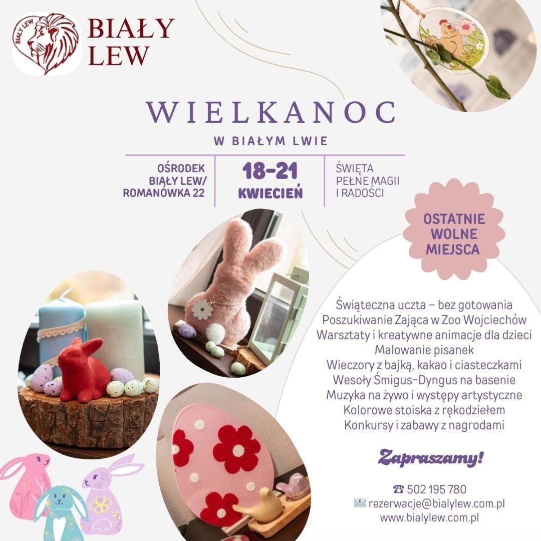 Osrodek Bialy Lew Bed and Breakfast Wojciechow  Eksteriør billede
