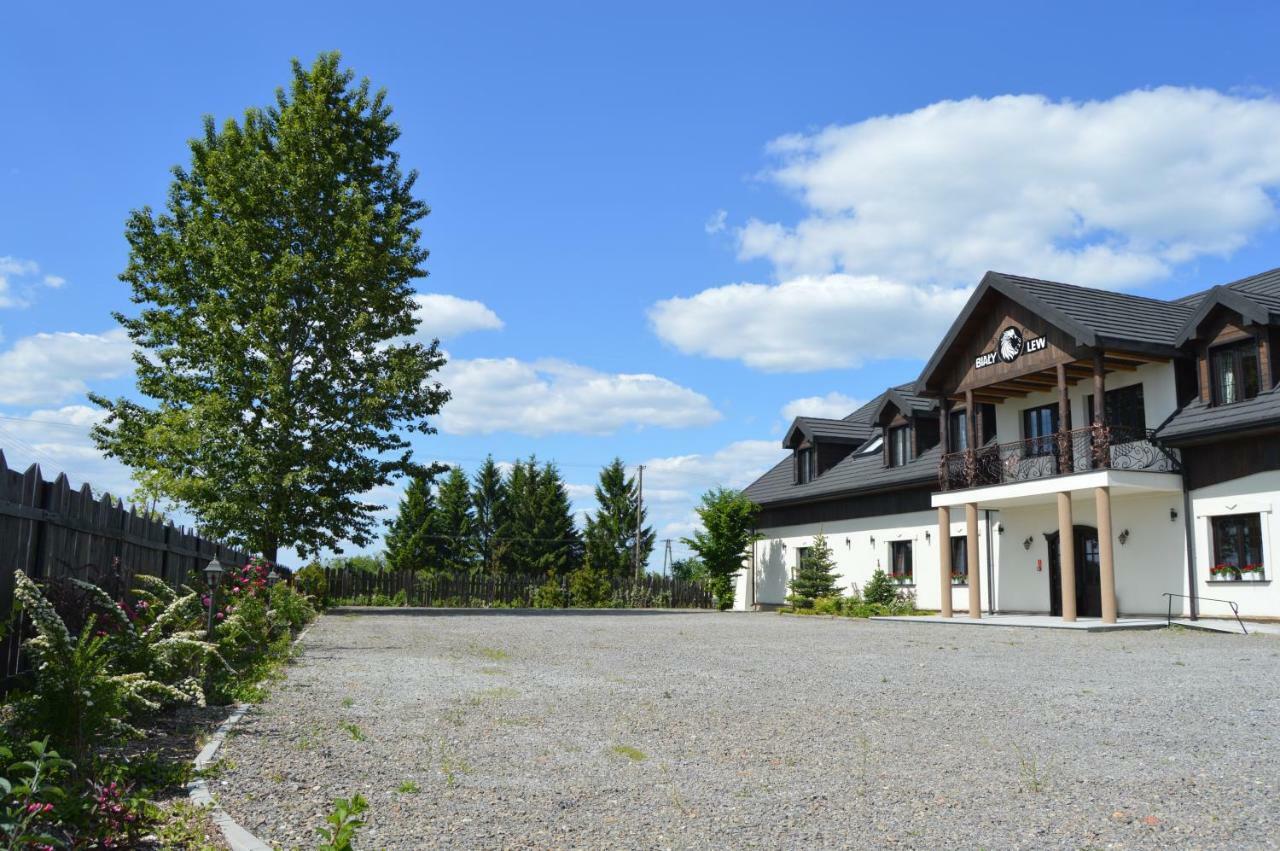 Osrodek Bialy Lew Bed and Breakfast Wojciechow  Eksteriør billede